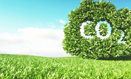 Wir verpflichten uns dazu, unsere Auswirkungen auf die Umwelt zu reduzieren